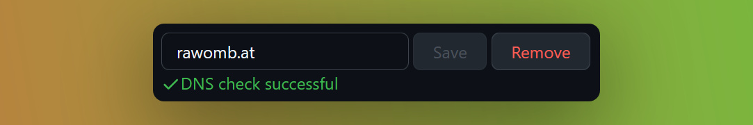 GitHub Pages custom domain DNS check successful