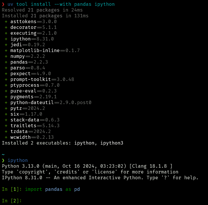 uv install with